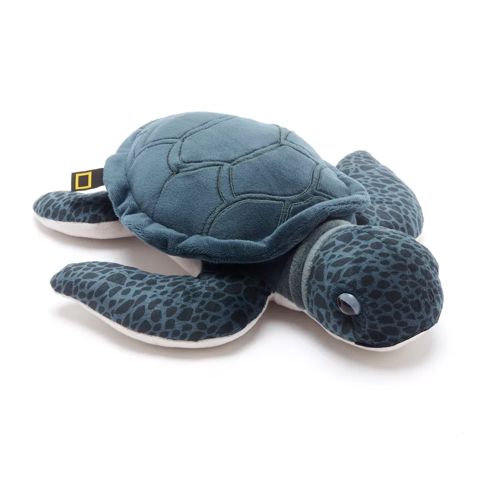 National Geographic Peluche Moyenne Tortue Verte 1 National Geographic Peluche Moyenne Tortue Verte
