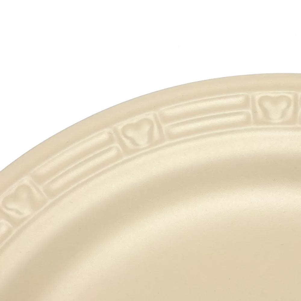 Disneyland Grande Assiette Mickey Mouse Homestead 3 Disneyland Grande Assiette Mickey Mouse Homestead – Image 3