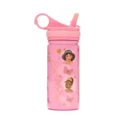 Disney Store Gourde Princesses Disney Classique En Acier Inoxydable -Disney 465021926072 2