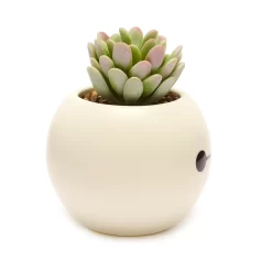 Disney Store Plante Artificielle En Pot Baymax, Les Nouveaux Héros 8 Disney Store Plante Artificielle En Pot Baymax, Les Nouveaux Héros -Disney 465043353962 3