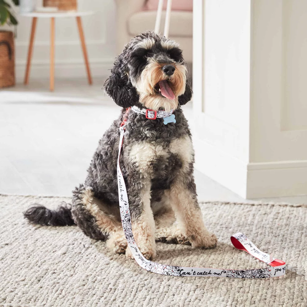 Disney Store Laisse Pour Chien Les 101 Dalmatiens 3 Disney Store Laisse Pour Chien Les 101 Dalmatiens – Image 3